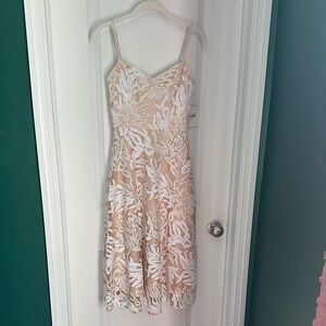 Dress the Population Lace Sequin Cocktail Dress